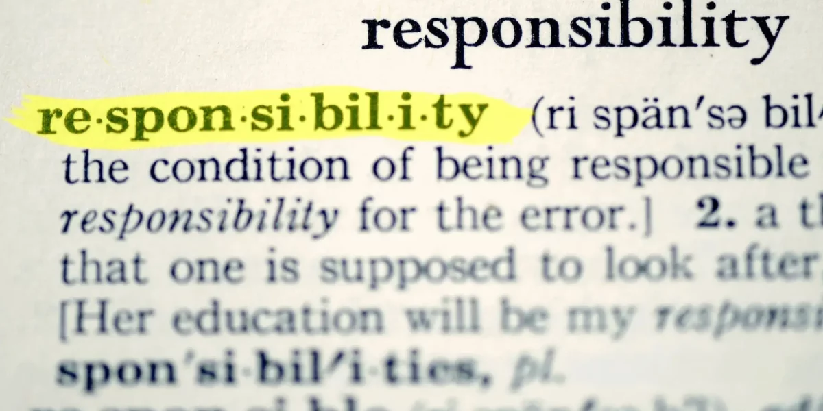 FREEDOM OF CHOICE, OR WHO IS RESPONSIBLE FOR A SOFTWARE DEVELOPMENT PROJECT